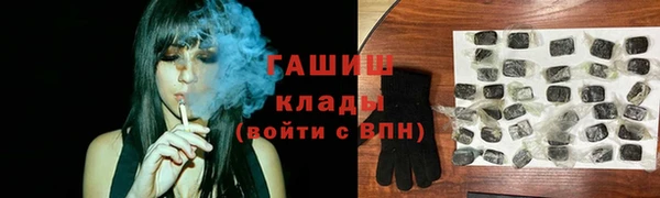 гидра Абаза