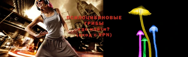 гидра Абаза