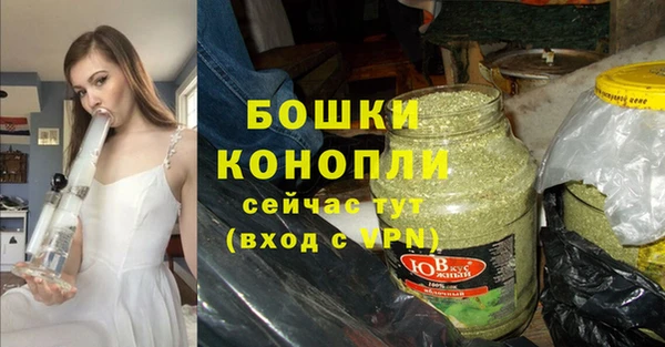 шишки Туринск