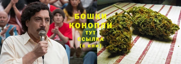 гидра Абаза