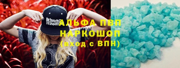 гидра Абаза