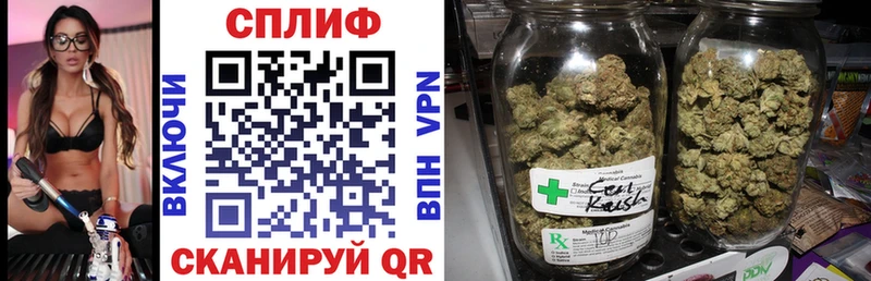 Канабис сатива  Екатеринбург 
